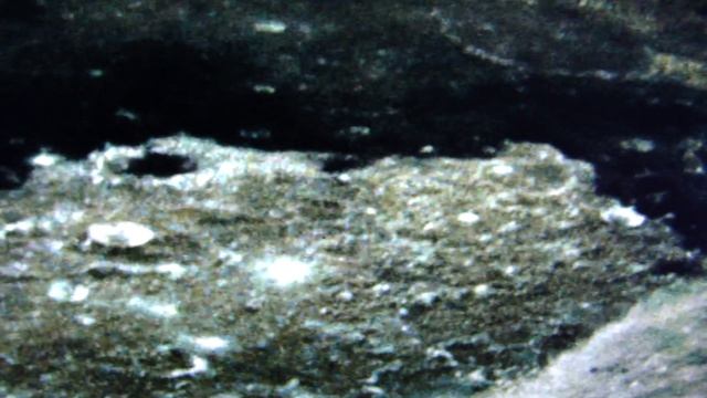 The real Moon!
