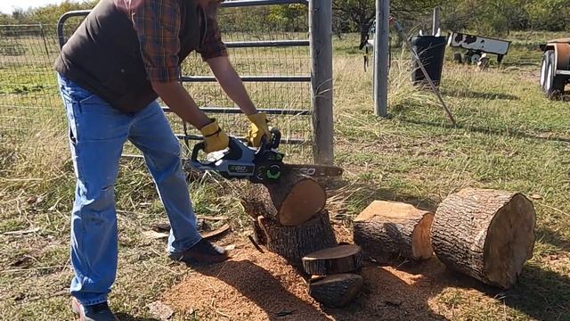 EGO cordless chainsaw. How worthless is it?