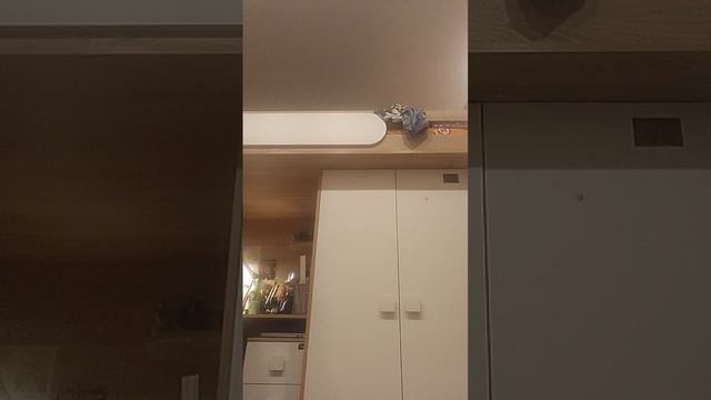 как я собираюсь в школу