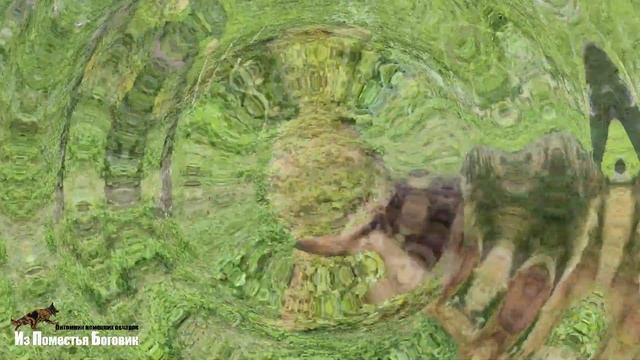 ЛОРД ИЗ ПОМЕСТЬЯ БОГОВИК (5 мес) зонарно-рыжий щенок длинношерстной немецкой овчарки