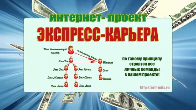 Построение структур личных команд интернет проекта “Экспресс Карьера“