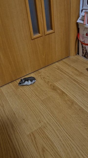 Сбежала