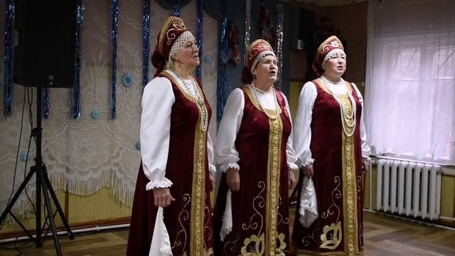 Концерт "Зимушка-зима" в д. Анкудиново