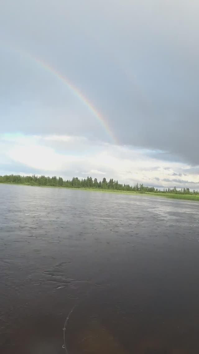 Кольский. Малые реки. Окунь под радугой!  #shorts  #fishing  #окунь #кольский