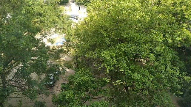 ЗАПОРОЖЬЕ ЧОМУ НЕ ДЕРЖАВНОЮ МОВОЮ НЕАДЕКВАТОВ ВСЕ БОЛЬШЕ 13.05.24