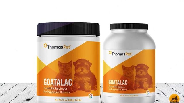 Cat Weight Gain Supplement : Which are the Best Cat Weight Gain Supplements in 2024?