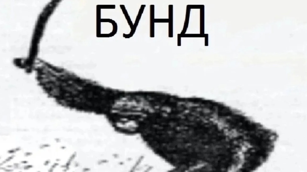 придумайте видео