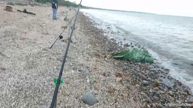 Отличный весенний выезд на набережную Таганрогского залива за пиленгасом🎣 #пеленгас #рыбалка # море
