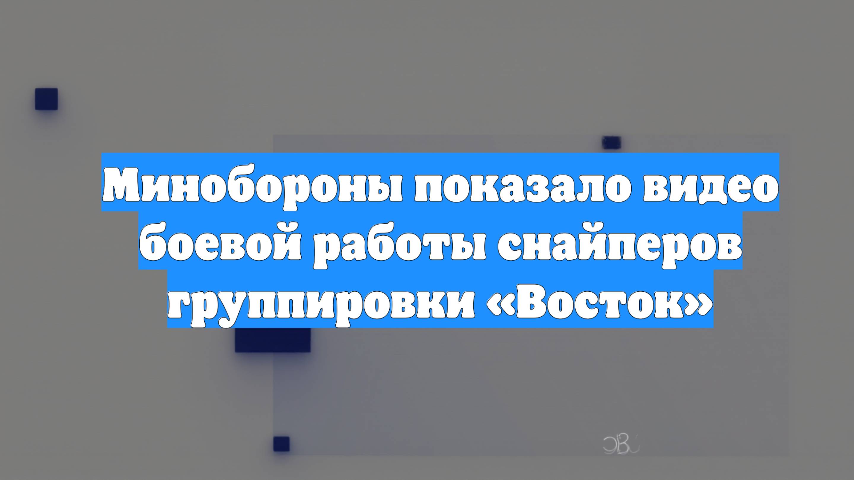 Минобороны показало видео боевой работы снайперов группировки «Восток»