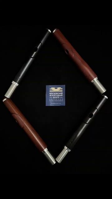 Разбавим серые будни веселым настроением ✨ #флейта #музыканты #flute #flutists #music #trend