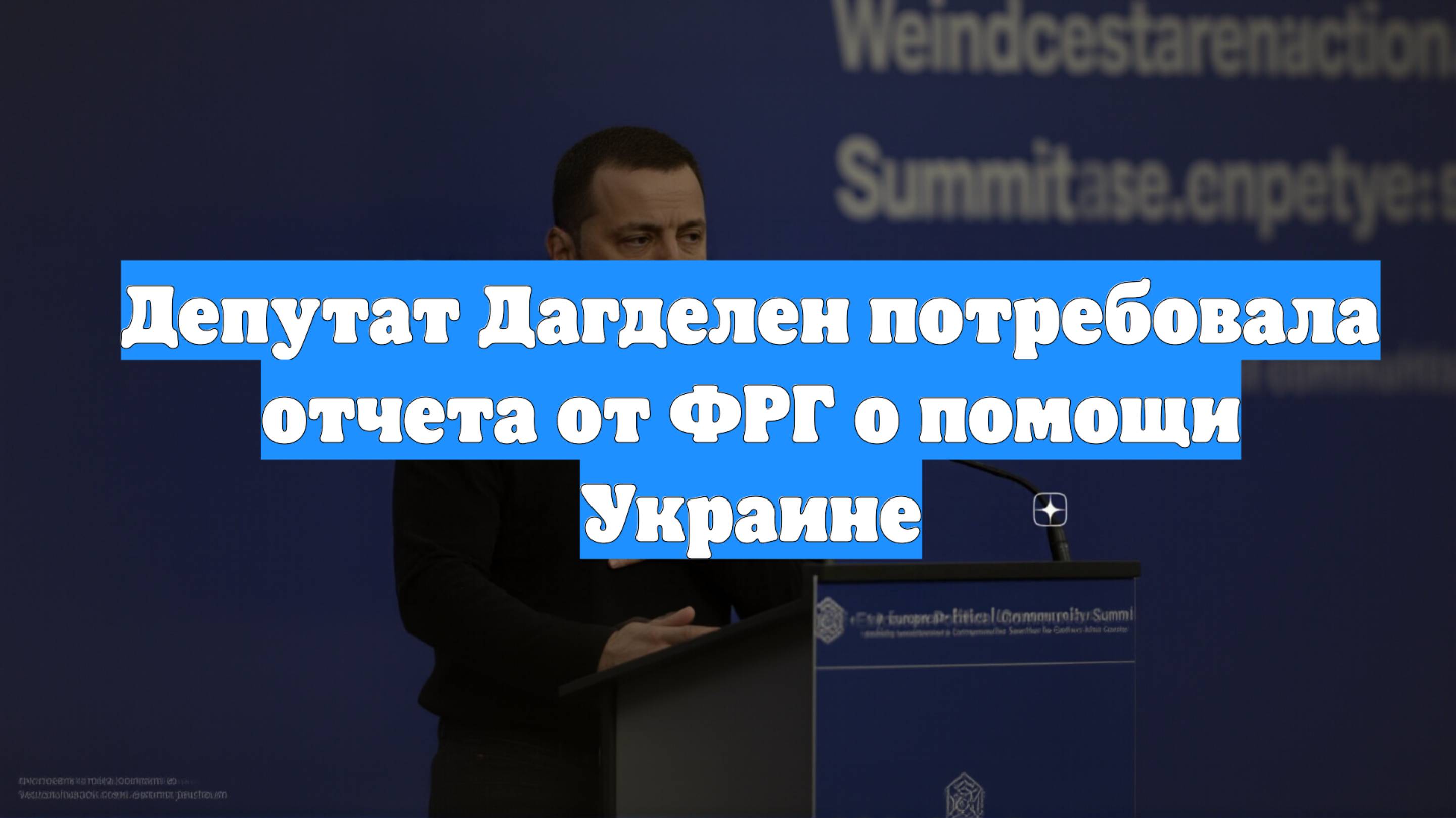 Депутат Дагделен потребовала отчета от ФРГ о помощи Украине