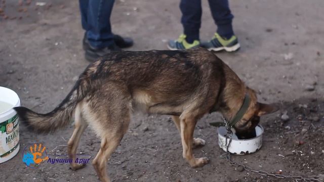 Приходите в гости