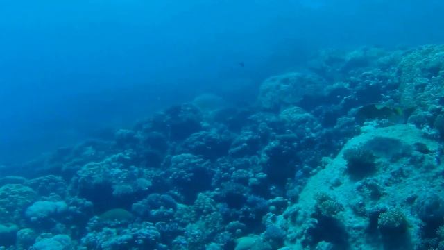 Diving 5 - 02.09.2015   House Riff Three Corners Farouz North