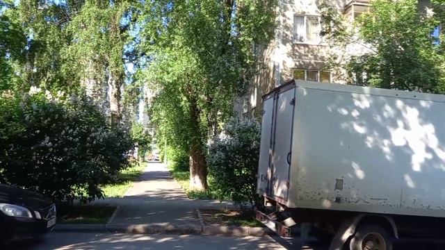 Сирень на улице Вавилова.