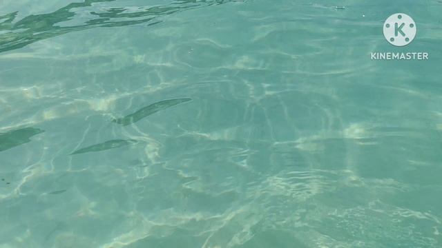 km_Симиланские острова. Таиланд. Декабрь 2024г._1080p_30f_20250204_200647.mp4
