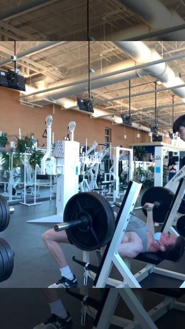 230 lbs bench press!