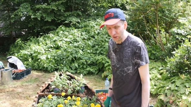 Community Integrated Care volunteers create new World Cup Community Garden