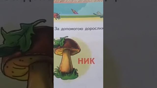 Незвичайна подорож