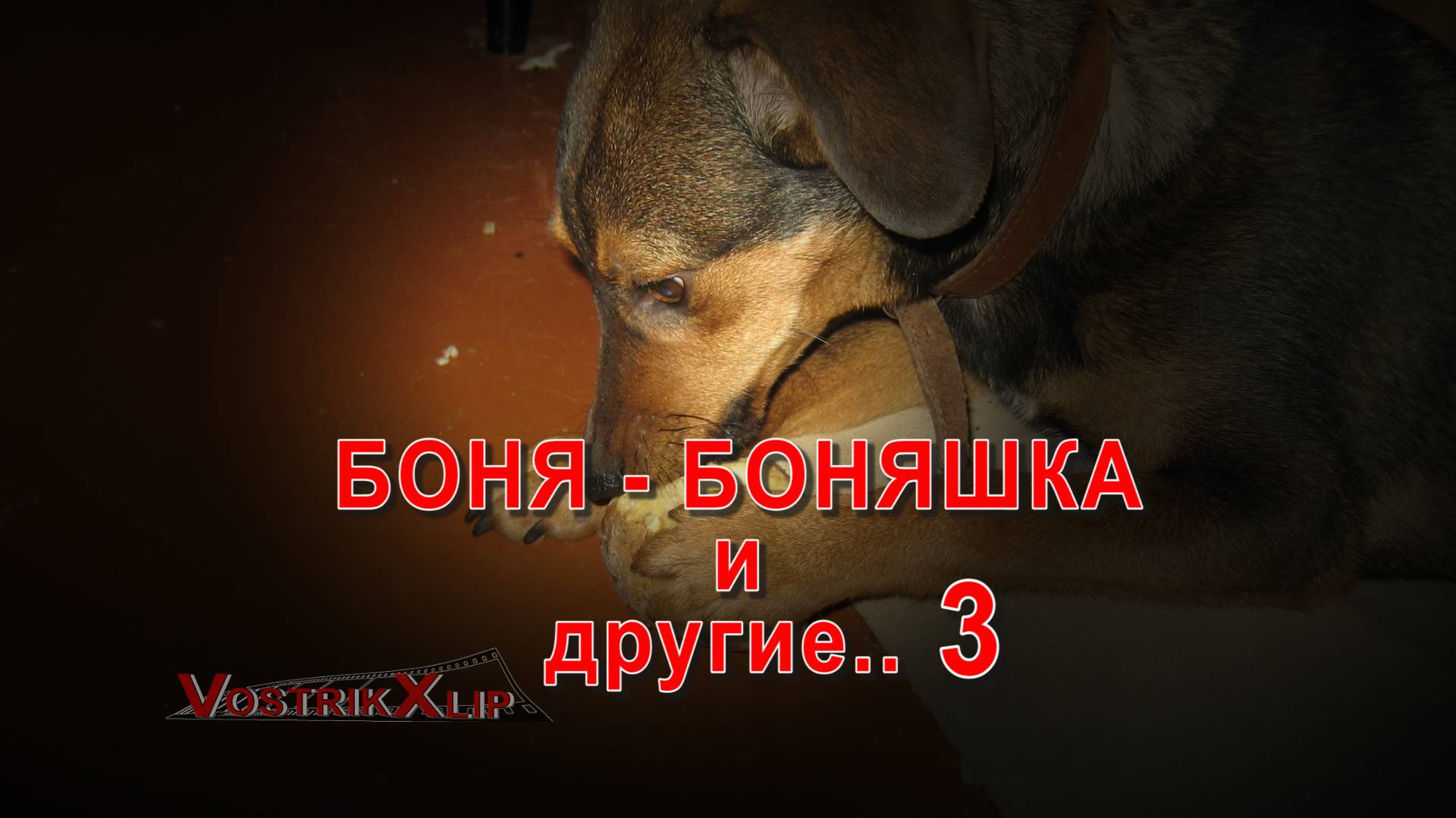 Боня Боняшка и другие 3