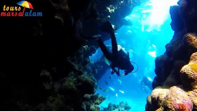 Diving Trip at Port Ghalib Marina from Portghalib
