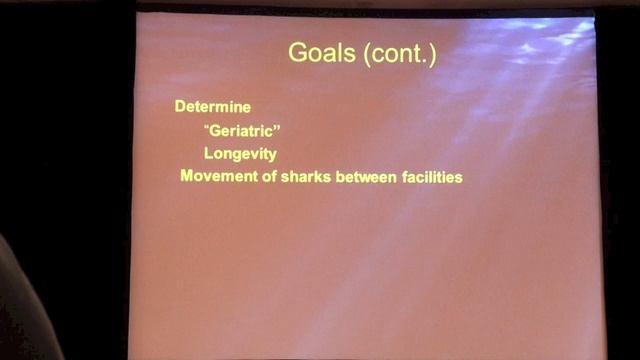 AZA studbook for the sand tiger shark, Carcharias taurus Племенная книга AZA для песчаной тигровой