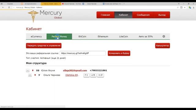 Обзор моего личного кабинета в Mercury Global