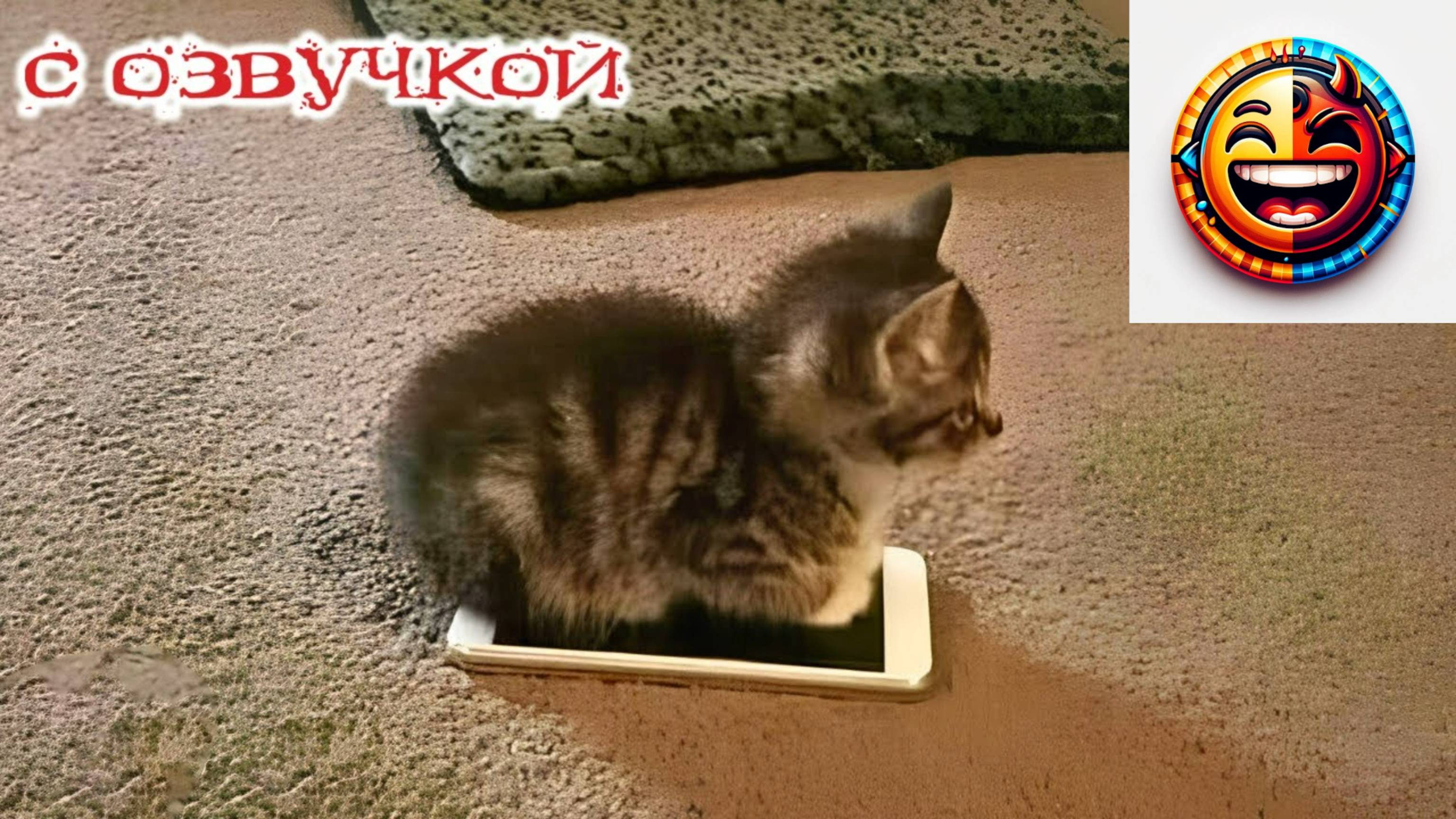ПРИКОЛЫ С КОТАМИ! Смешные ЖИВОТНЫЕ с озвучкой! Смешные коты! Угараем вместе 🤣💕 #2781