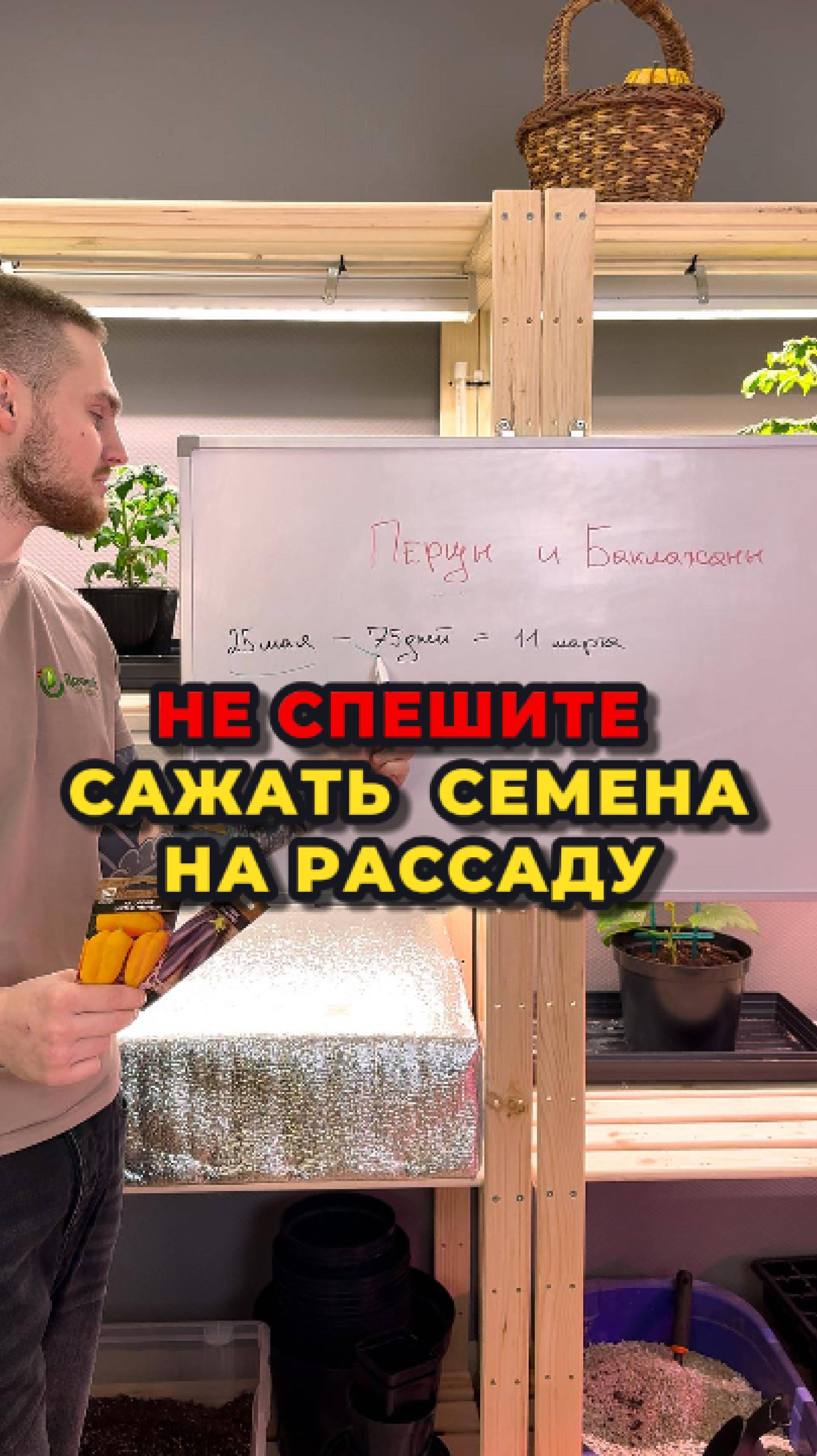 ЧТО и КОГДА высаживать на рассаду?