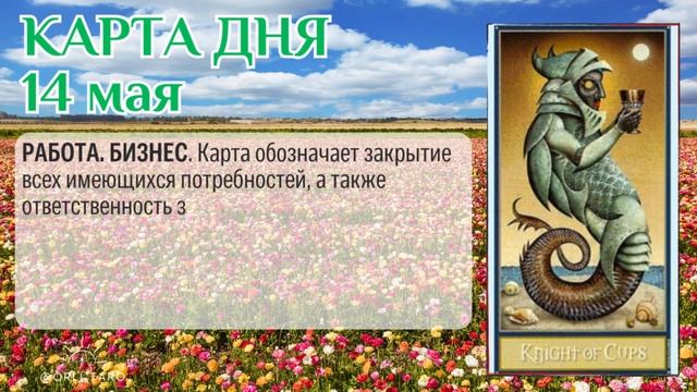 Пойдите на сотрудничество! Полный прогноз на 14 мая #таро #картадня