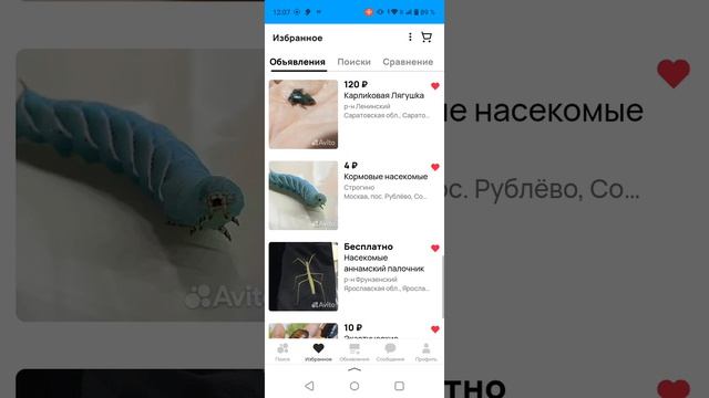 делаю зоопарк часть 1