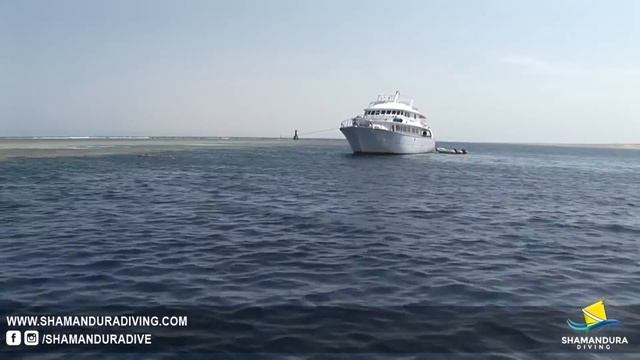 That is how we do it every day at Shamandura Diving Resort - Sharm El Sheikh