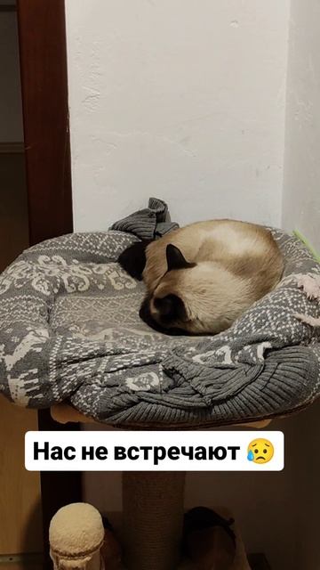 Нас не встречают 😥