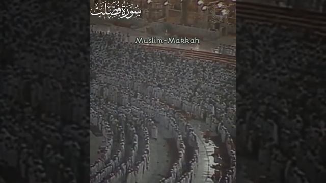 Сура Фуссылят 31-33