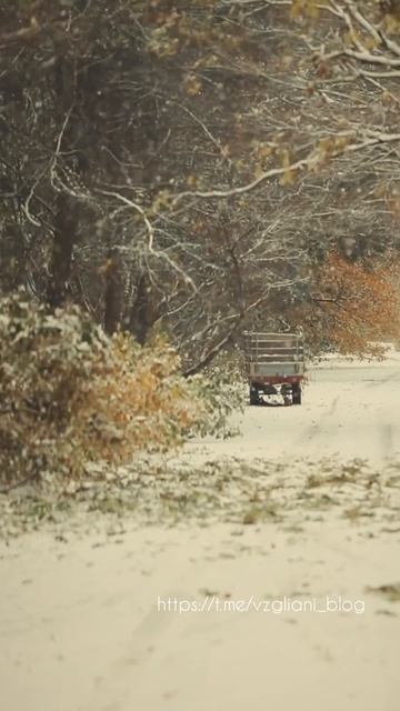 Осень встречает приходящую зиму в Москве🍁🌬❄️☃️https://t.me/vzgliani_blog#travel #like #shorts #vib