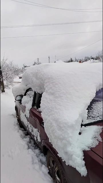 Зима пришла нежданно