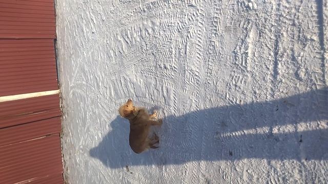 где-то в России!!!