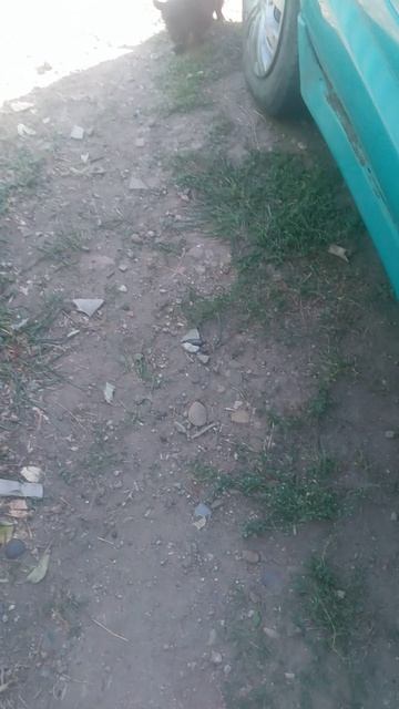 VID_20241004_143829