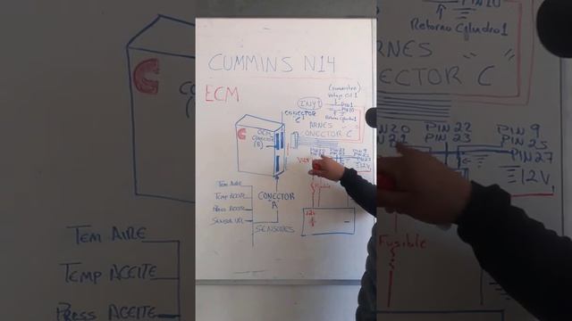 cummins N14  módulo de control electrónico, fallas, TROUBLESHOOTING,arnés,diagrama , ECM, ESQUEMA,