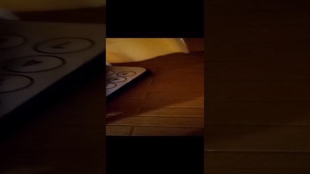 VID_20250204_151335.3gp