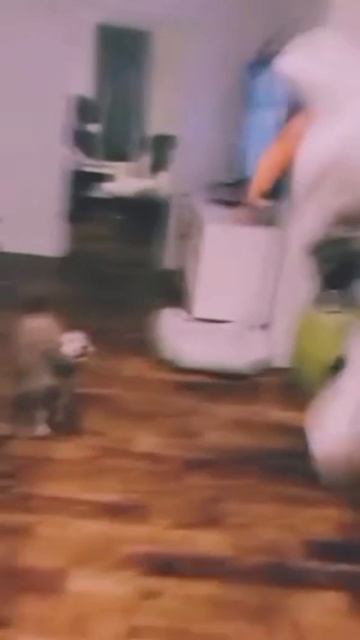 scene_output.mp4