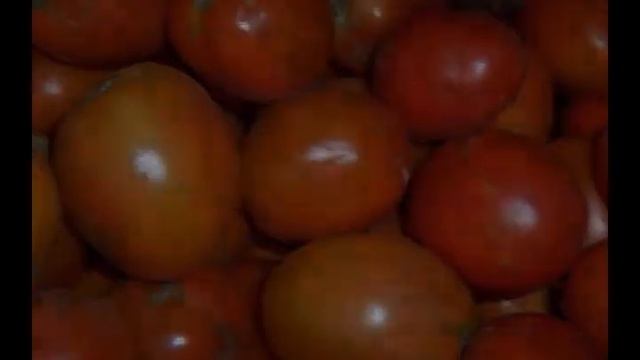 ABUNDANT LIVING - Organic Agriculture - Chapter 8