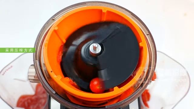 SAVTM Slow juicer