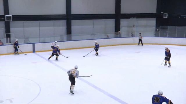HC SKANTZOCHOIROS – ХК Дикобразы  Дивизион Плутон