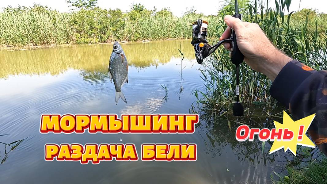 Мормышинг. Раздача бели.