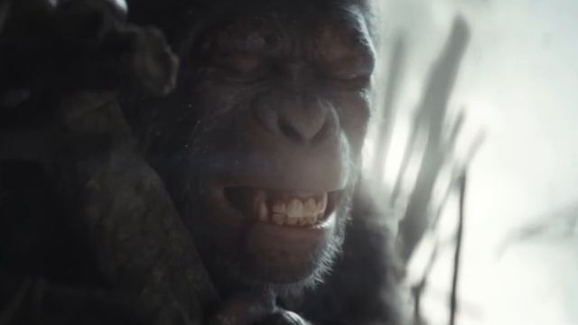 Is Noa (New Main Ape) Connected To Caesar In Kingdom Of The Planet Of The Apes?