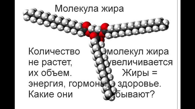 #жиры #нутрициологсергей