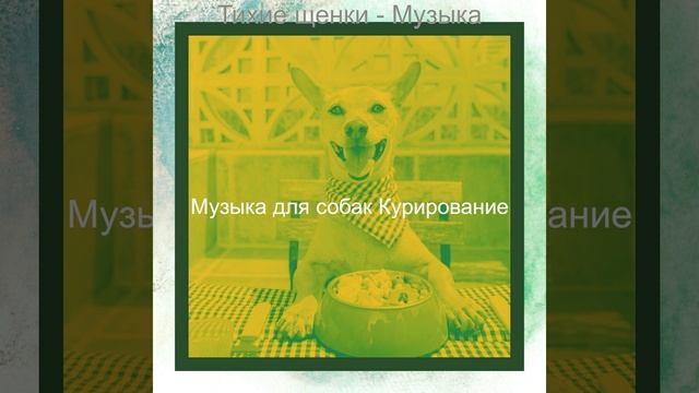 Атмосфера (Собаки)