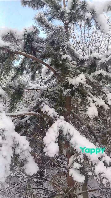 Закончилась зимняя сказка