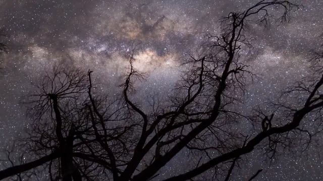 Relax Space Video