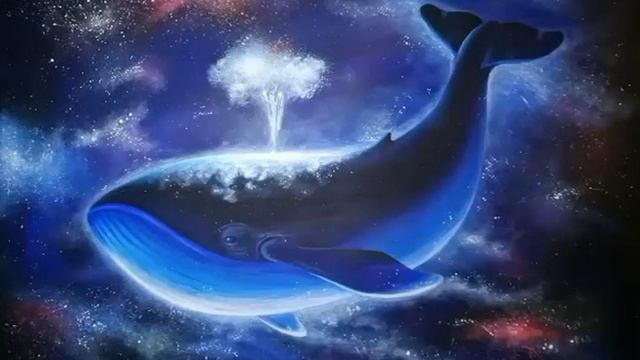 космический кит✨